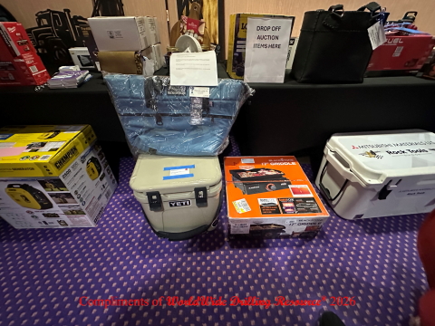 auctions.jpg